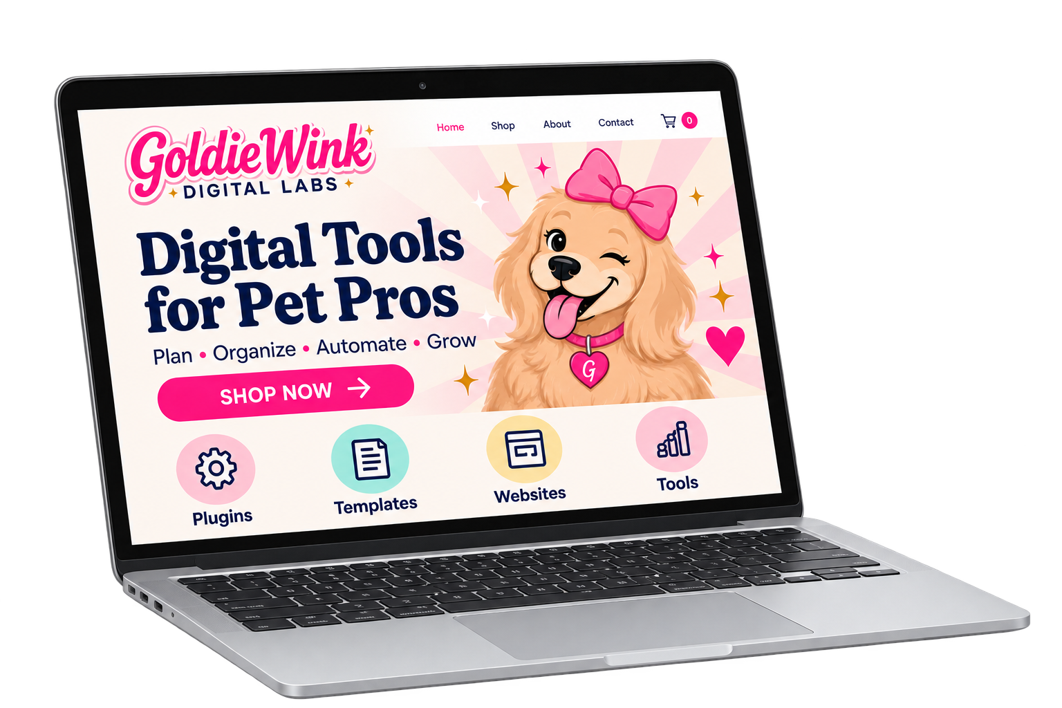 GoldieWink website on laptop