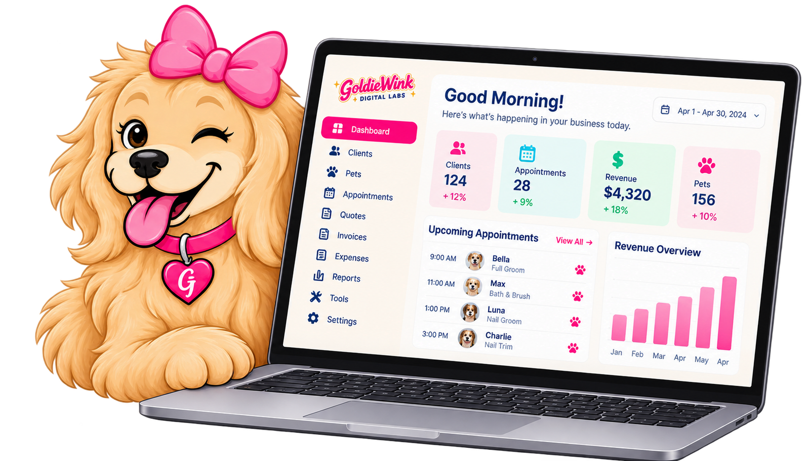 Goldie beside the GoldieWink Groomer Business Hub dashboard